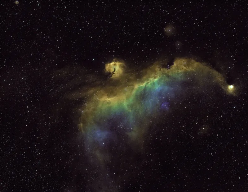 IC2177 – Seagull Nebula